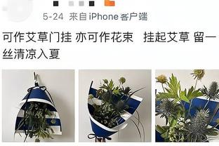 意媒：基耶萨恢复合练，弗拉霍维奇仍在单独训练出战乌迪内斯成疑